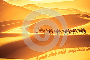 Desert camels team