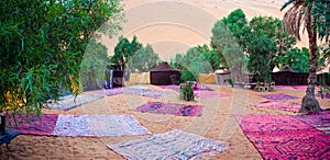 Desert camp