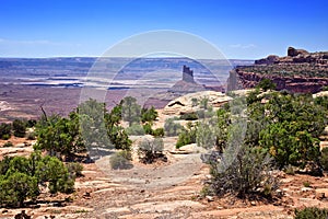 Desert at Candlestick Tower Overlook, Canyonlands National Park, Utah, USA