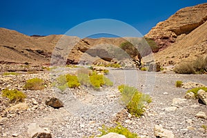 Desert canyon global warming climate changes nature dry ground landscape wilderness scenic view sand stone rocky hills and lonely