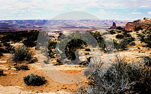 Desert Canyonland photo