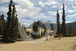 Desert in Carcross, Canada