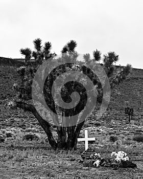 Desert cemeteries photo