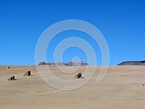 Desert of Chololi, border of Bolivia and Chile photo