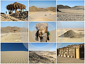 Desert collage