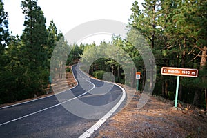 Desert curvy road