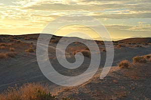 Desert dawn on dirt roads