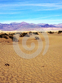 The desert in Death Valley near Zabriskie Point