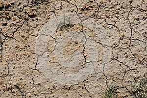 Desert dried and cracked ground. erosion earth background. cracked dry wall surface. white natural cracked texture. desert