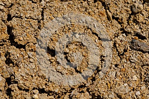 Desert dried and cracked ground. erosion earth background. cracked dry wall surface. white natural cracked texture. desert