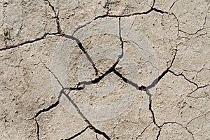 Desert dried and cracked ground. erosion earth background. cracked dry wall surface. white natural cracked texture. desert