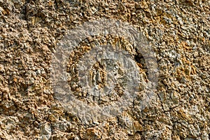 Desert dried and cracked ground. erosion earth background. cracked dry wall surface. white natural cracked texture. desert