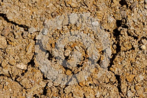 Desert dried and cracked ground. erosion earth background. cracked dry wall surface. white natural cracked texture. desert