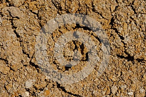 Desert dried and cracked ground. erosion earth background. cracked dry wall surface. white natural cracked texture. desert