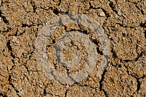 Desert dried and cracked ground. erosion earth background. cracked dry wall surface. white natural cracked texture. desert