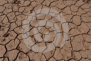 Desert dry and cracked ground, Chad. Africa.