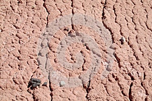 Desert dry soil pattern