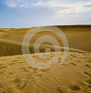 Desert Dunas de Maspalomas in Gran Canaria