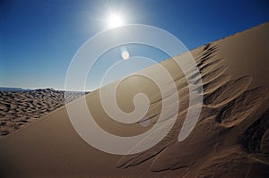 Desert dune