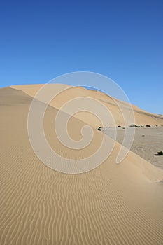 Desert dune, Dune 7, Namibia