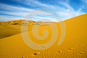 Desert dune, Libya
