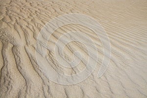 Desert dune sand in Fuerteventura