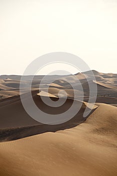 Desert dunes