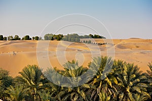 Desert dunes in Liwa oasis, United Arab Emirates