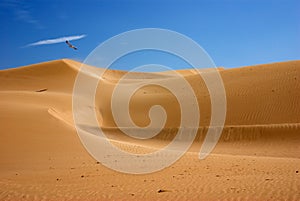 Desert dunes Morocco