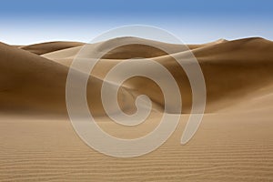 Desert dunes sand in Maspalomas Gran Canaria photo