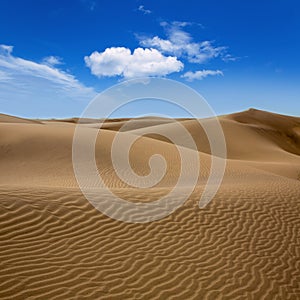 Desert dunes sand in Maspalomas Gran Canaria photo