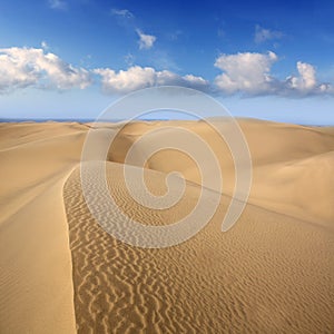 Desert dunes sand in Maspalomas Gran Canaria