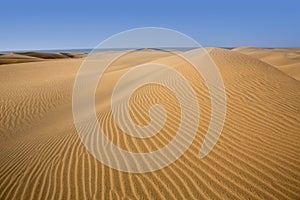 Desert dunes sand in Maspalomas Gran Canaria