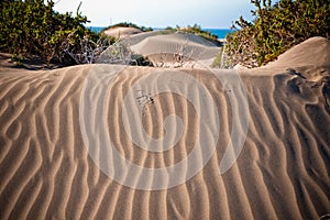Desert dunes with waves photo