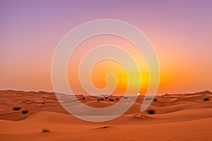 Desert. Dunset in desert. Desert in Dubai. Landscape of golden sand dune with blue sky in Sahara desert.