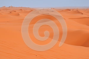 Desert. Dunset in desert. Desert in Dubai. Landscape of golden sand dune with blue sky in Sahara desert.