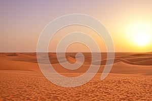 Desert. Dunset in desert. Desert in Dubai. Landscape of golden sand dune with blue sky in Sahara desert.