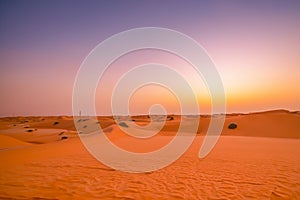 Desert. Dunset in desert. Desert in Dubai. Landscape of golden sand dune with blue sky in Sahara desert.