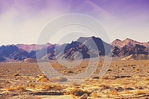 Desert in the early morning. The Judaean Desert