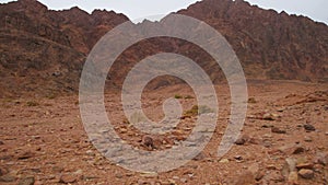 Desert in Egypt, Sand and Mountains