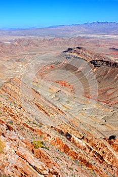 Desert Environment Nevada