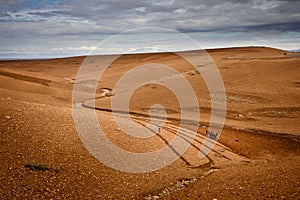 Desert farmer