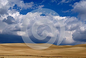 Desert field and sky with clouds photo