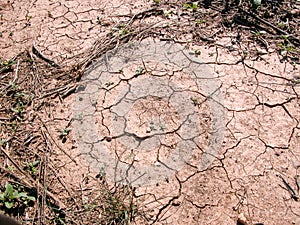 Desert Field Spain photo