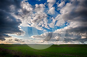 Desert field under a dramatic sky