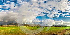 Desert field under a dramatic sky