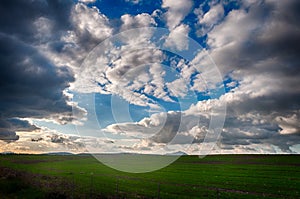 Desert field under a dramatic sky