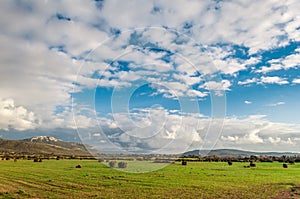 Desert field under a dramatic sky