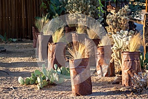 Desert flower pots in Twenty-Nine Palms, California