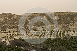 Desert Foothills and Sparse Vegetation